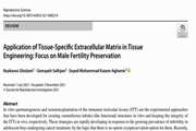 Application of Tissue-Specific Extracellular Matrix in Tissue Engineering: Focus on Male Fertility Preservation